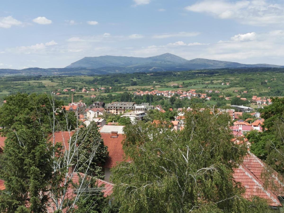 Vila Breza Soko Banja Luaran gambar