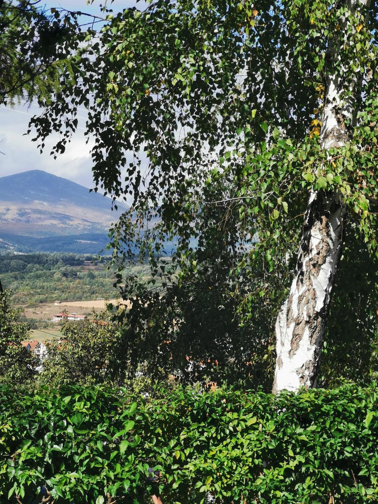 Vila Breza Soko Banja Bilik gambar